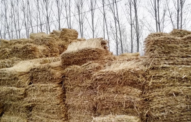 宁夏在线看小黄片厂家 宁夏在线看小黄片厂家
