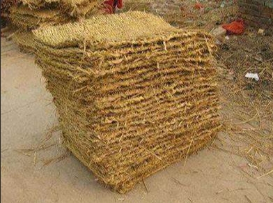 宁夏在线看小黄片 宁夏在线看小黄片