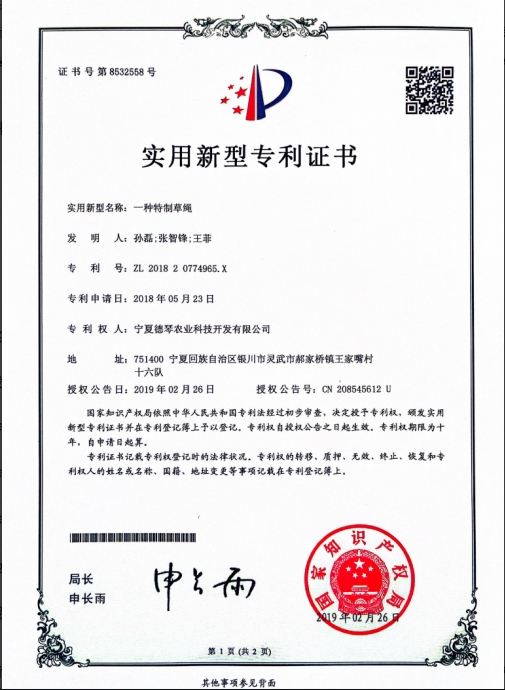 宁夏小黄片APP在线下载子