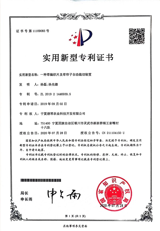 宁夏小黄片下载安装子
